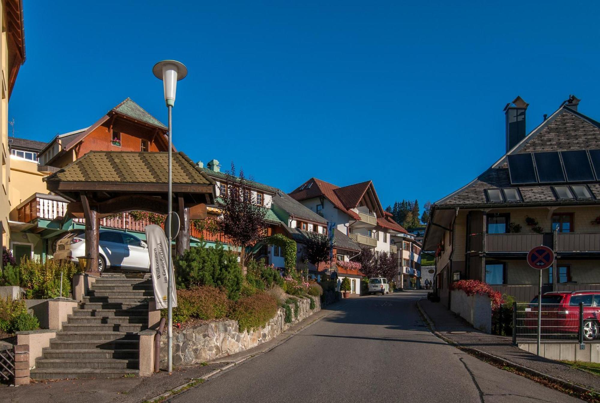 Apartment 13 - Ferienresidenz Roseneck, Mit Schwimmbad In Todtnauberg Bei Feldberg מראה חיצוני תמונה